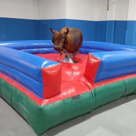 Aluguel de Baby Bull 