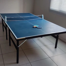 Aluguel Mesa Ping Pong